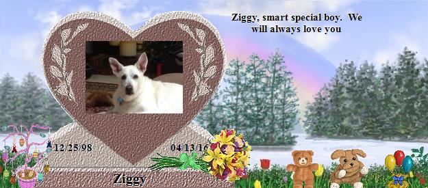 Ziggy's Rainbow Bridge Pet Loss Memorial Residency Image