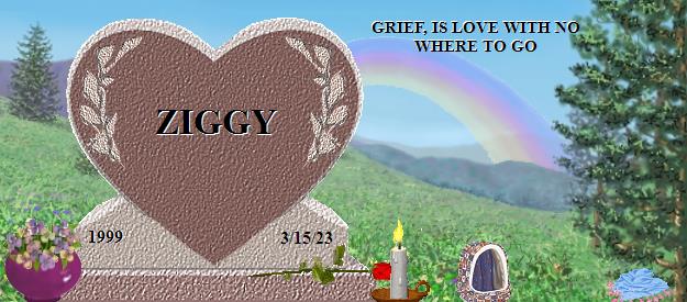 ZIGGY's Rainbow Bridge Pet Loss Memorial Residency Image