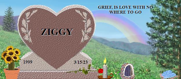 ZIGGY's Rainbow Bridge Pet Loss Memorial Residency Image