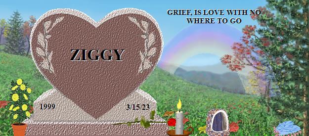 ZIGGY's Rainbow Bridge Pet Loss Memorial Residency Image