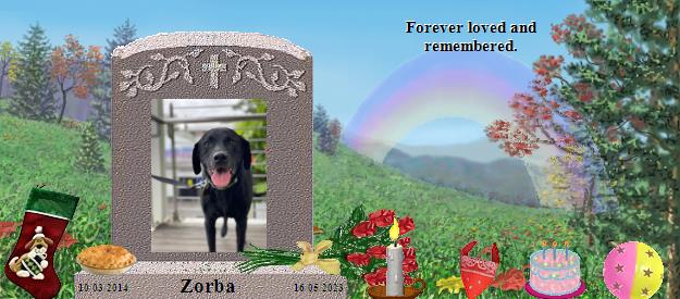 Zorba's Rainbow Bridge Pet Loss Memorial Residency Image