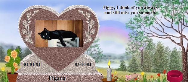 Figaro's Rainbow Bridge Pet Loss Memorial Residency Image